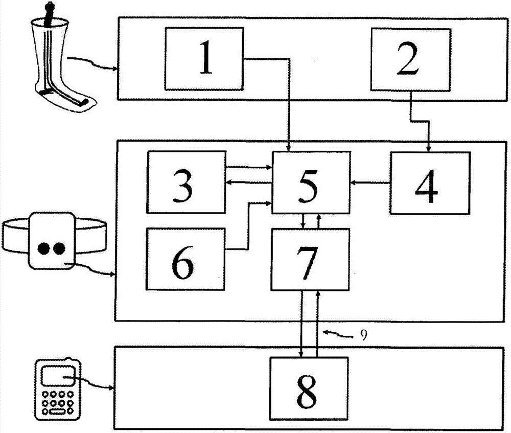 Sock for integrated biometric monitoring