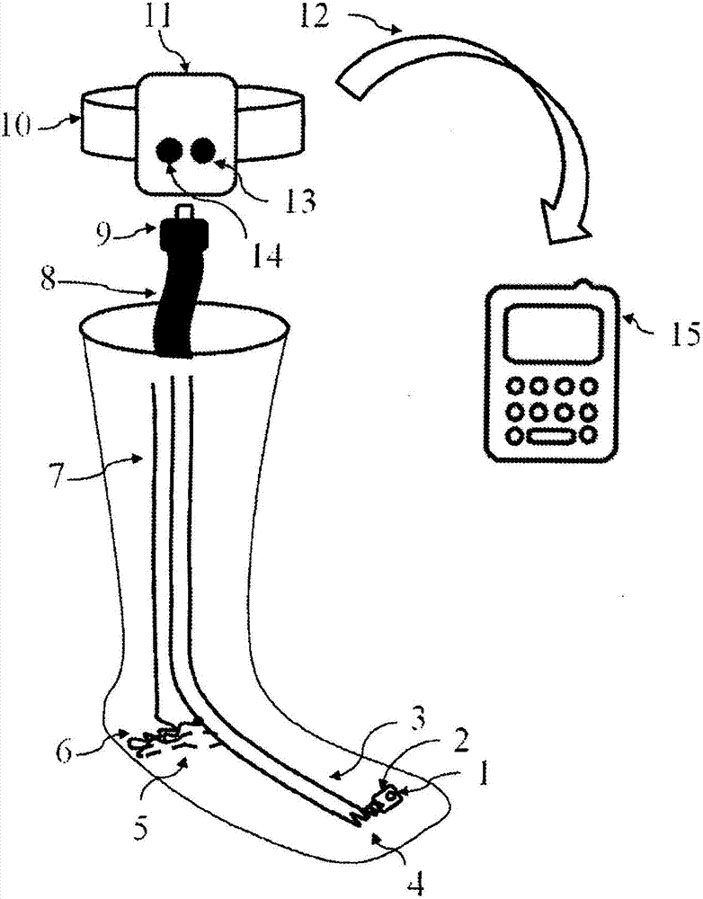 Sock for integrated biometric monitoring