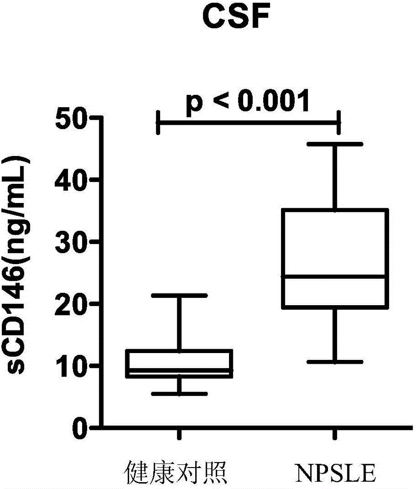 Application of CD 146 as molecular marker to diagnosis, periodization or prognosis of neuropsychiatric systemic lupus erythematosus (NPSLE)