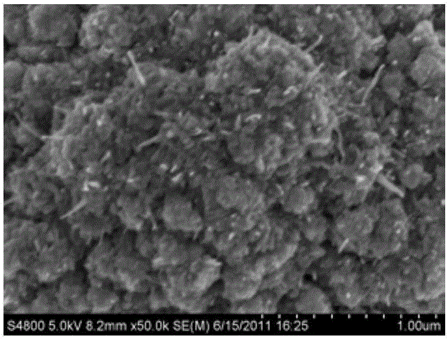 High-performance negative electrode directly serving as lithium ion battery and battery using the negative electrode