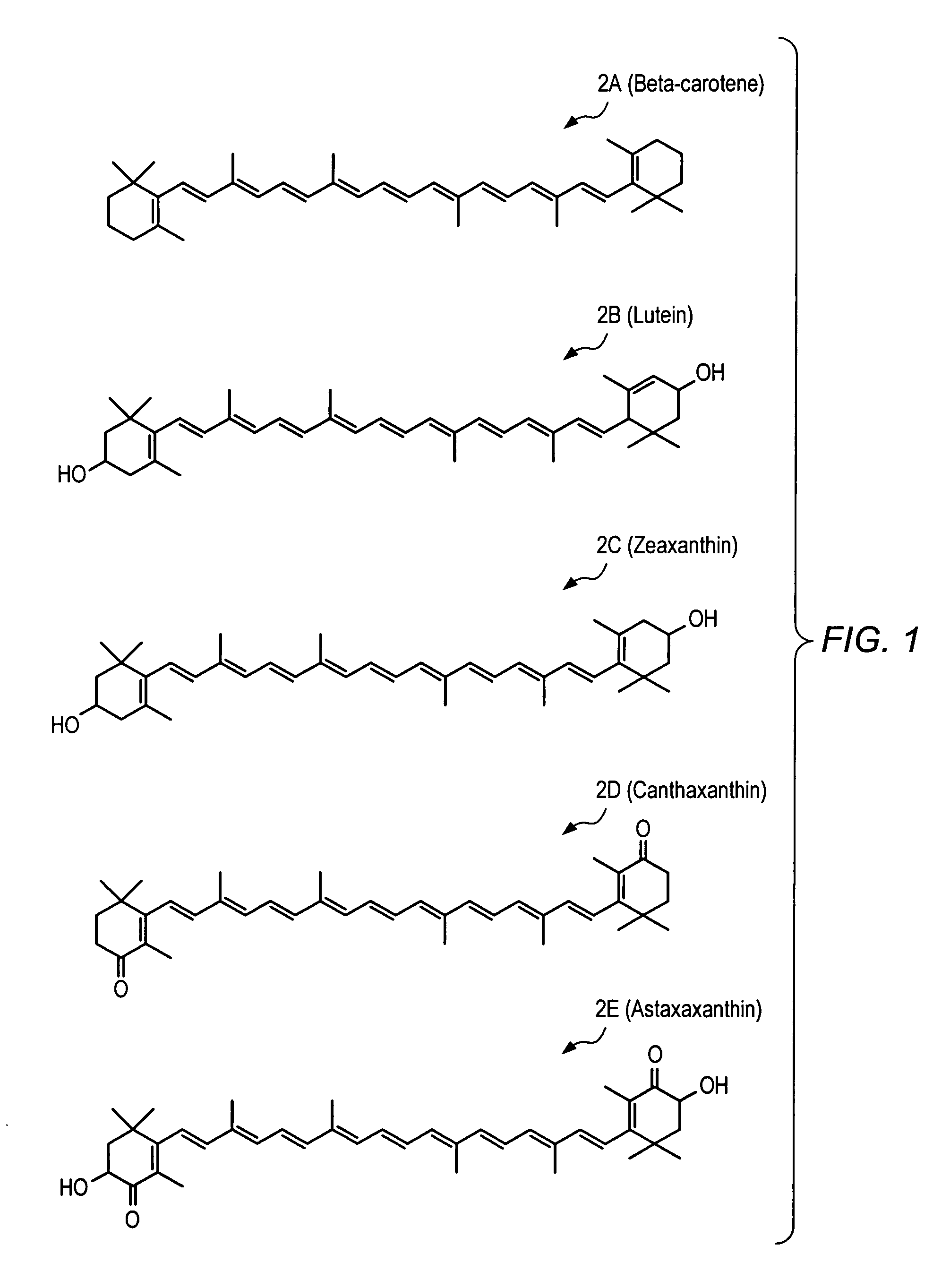 Pharmaceutical compositions including carotenoid ether analogs or derivatives for the inhibition and amelioration of disease