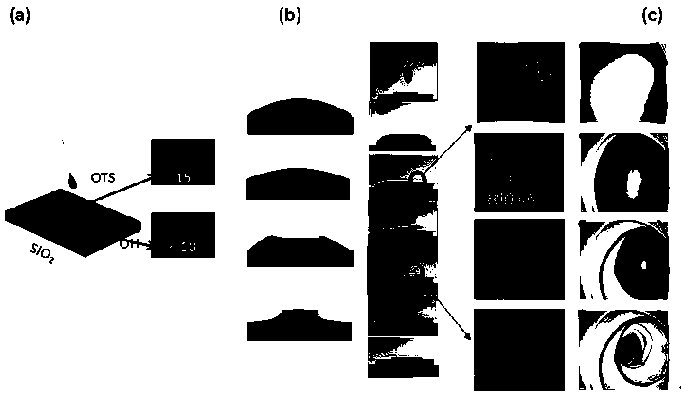 Preparation method and application of polymer semiconductor film