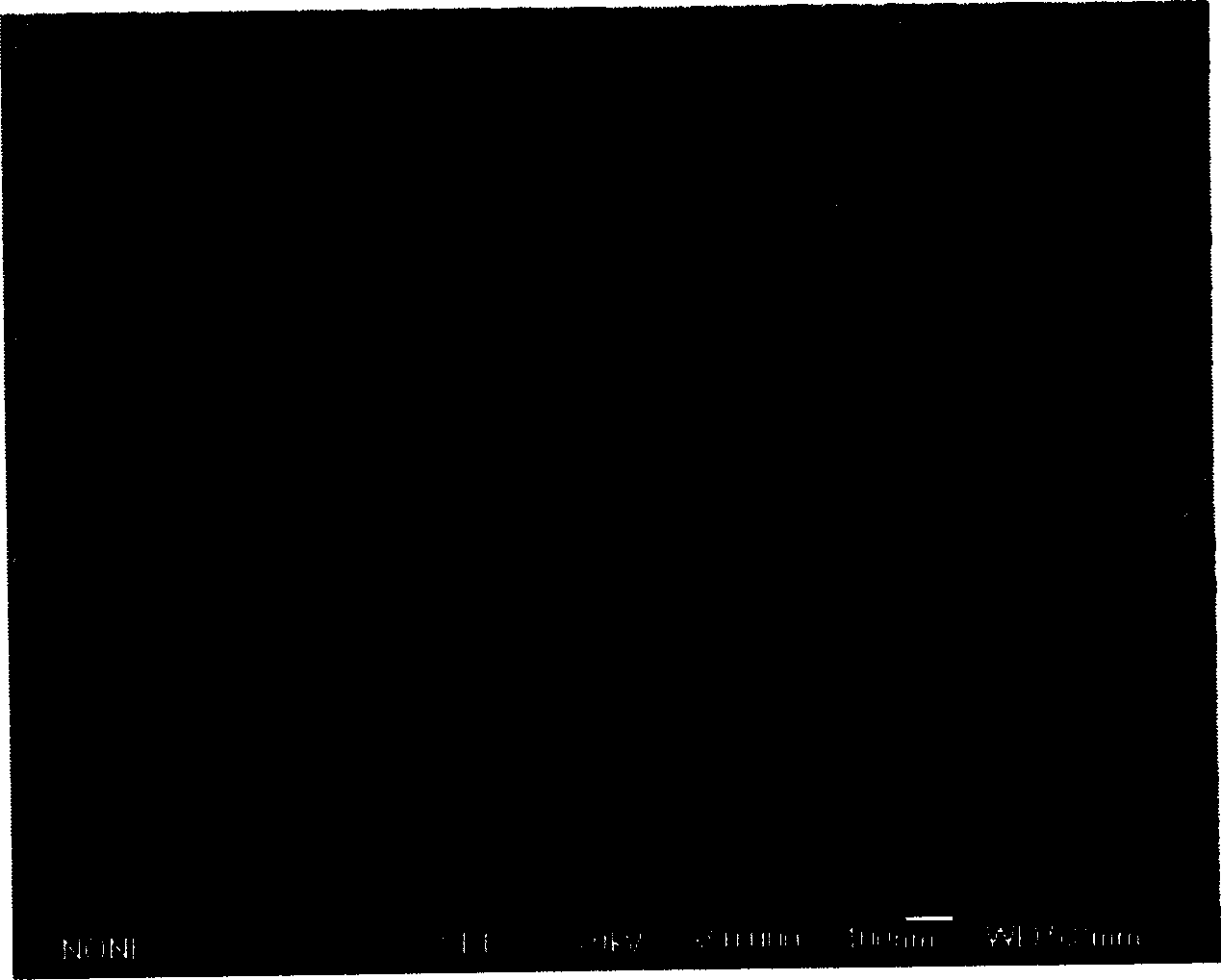 Preparing dye sensitized nanocrystalline semiconductor solar cell optical anode using electrical spinning method