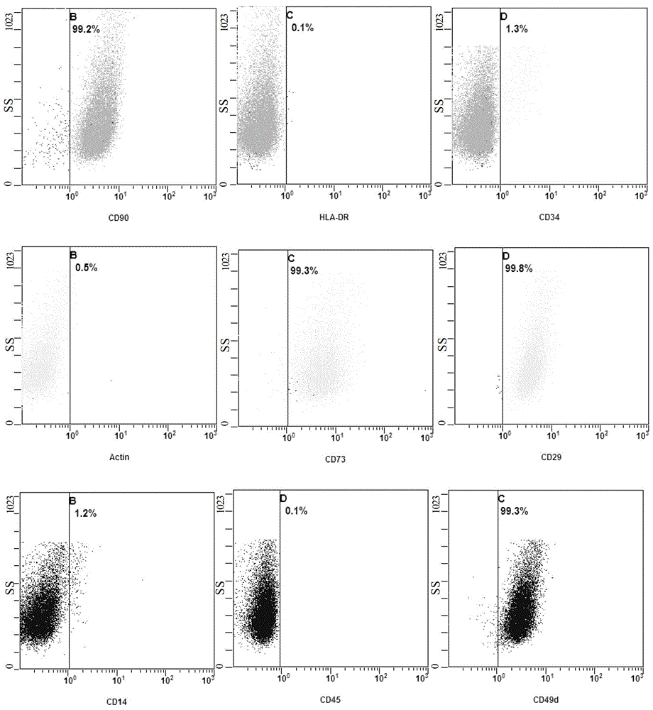 A tissue cryopreservation solution that can maintain cell viability