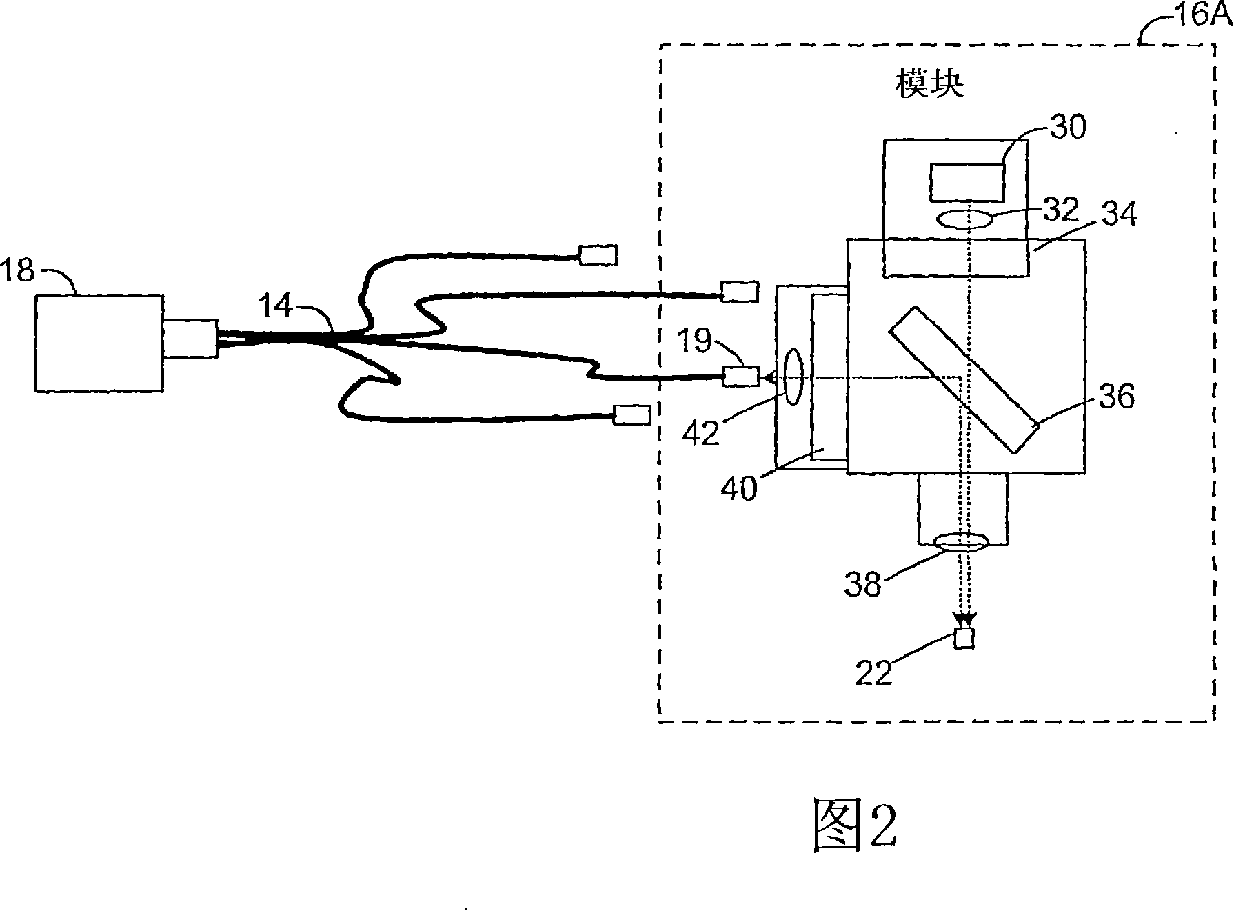 Multiplex fluorescence detection device having removable optical modules