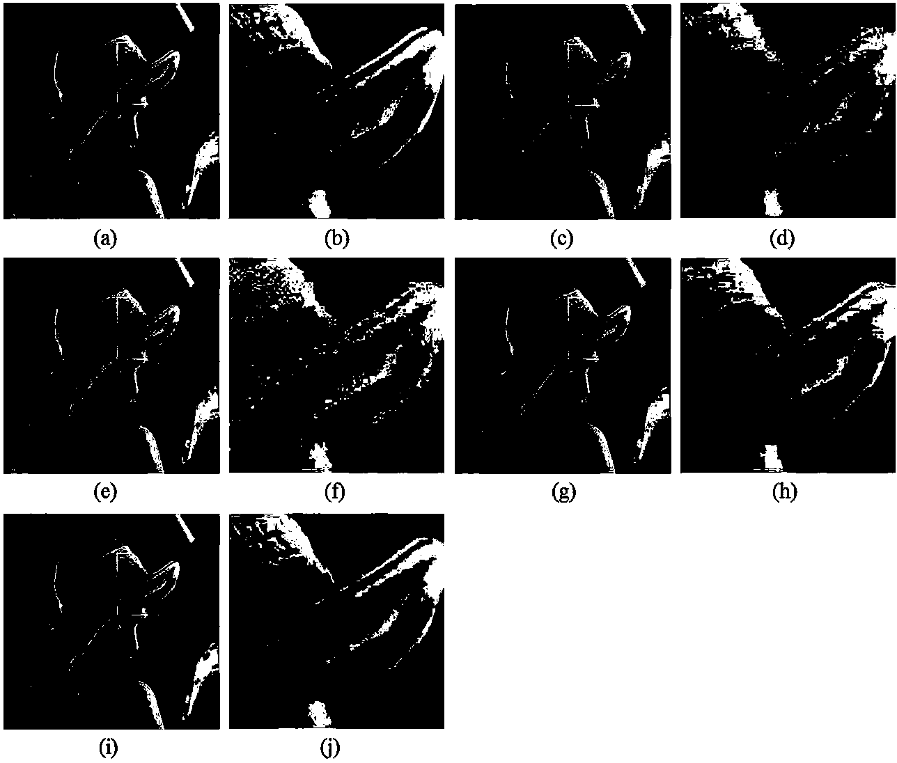 Partitioning compressive sensing reconstruction method based on image block clustering and sparse dictionary learning