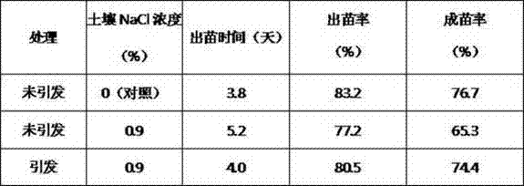 Sorghum seed initiator under saline-alkali stress