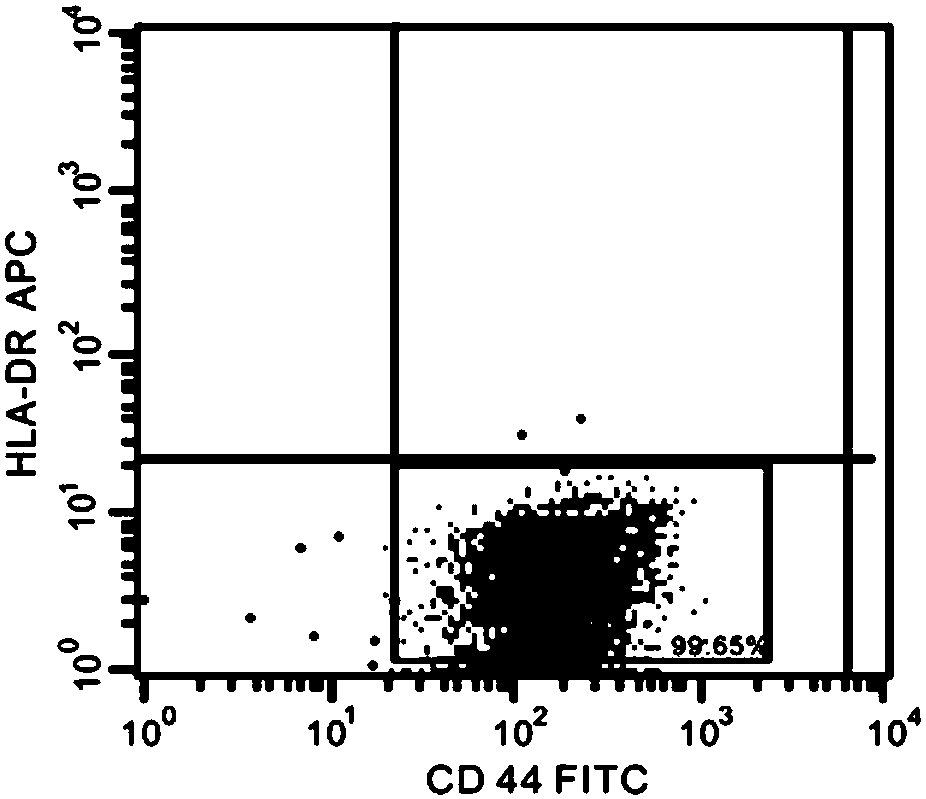 Stem cell preserving fluid used for transplantation of mesenchymal stem cells