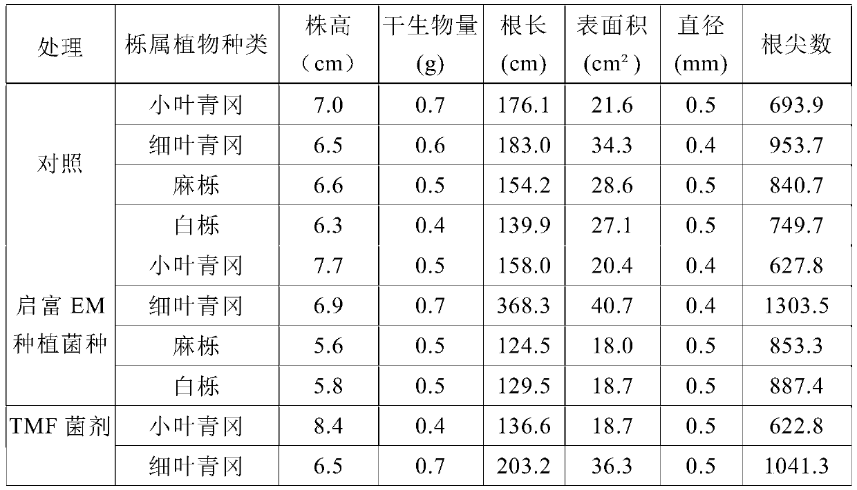 Oak plant root-promoting microbial microcapsule inoculant and preparation method thereof