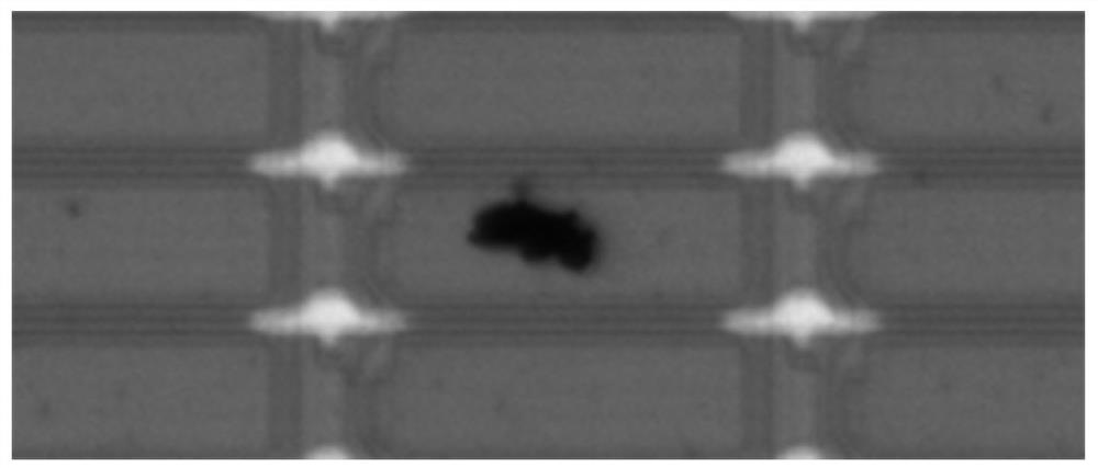 TFT-LCD-based defect authenticity detection judgment method and system