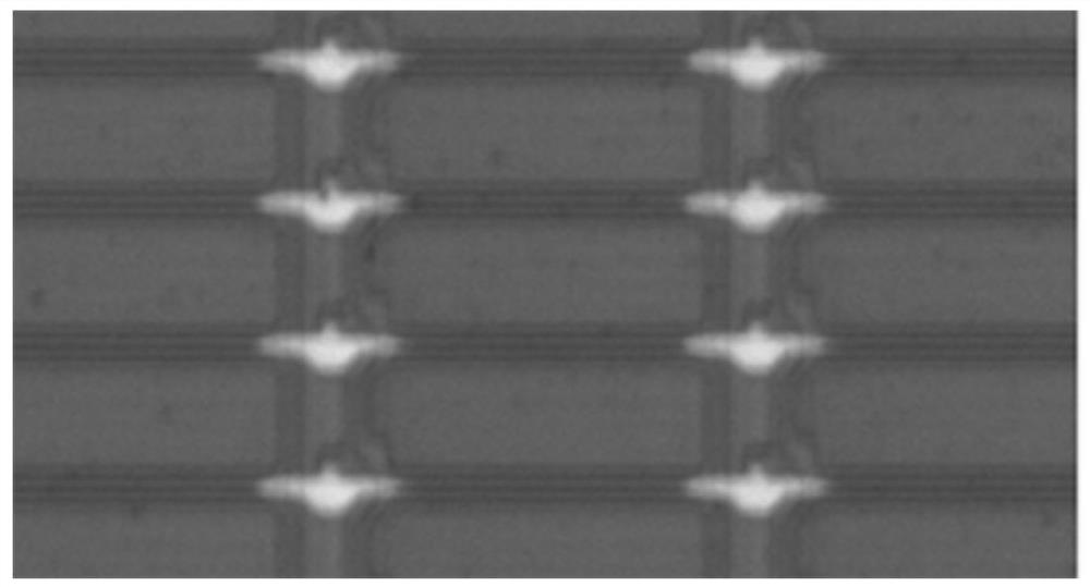 TFT-LCD-based defect authenticity detection judgment method and system