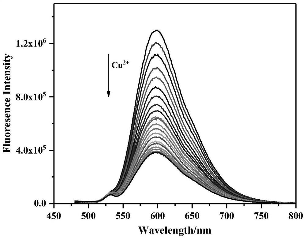 Novel ligand for copper ion detection, preparation of novel ligand, novel ruthenium complex and near-infrared long-life fluorescent probe