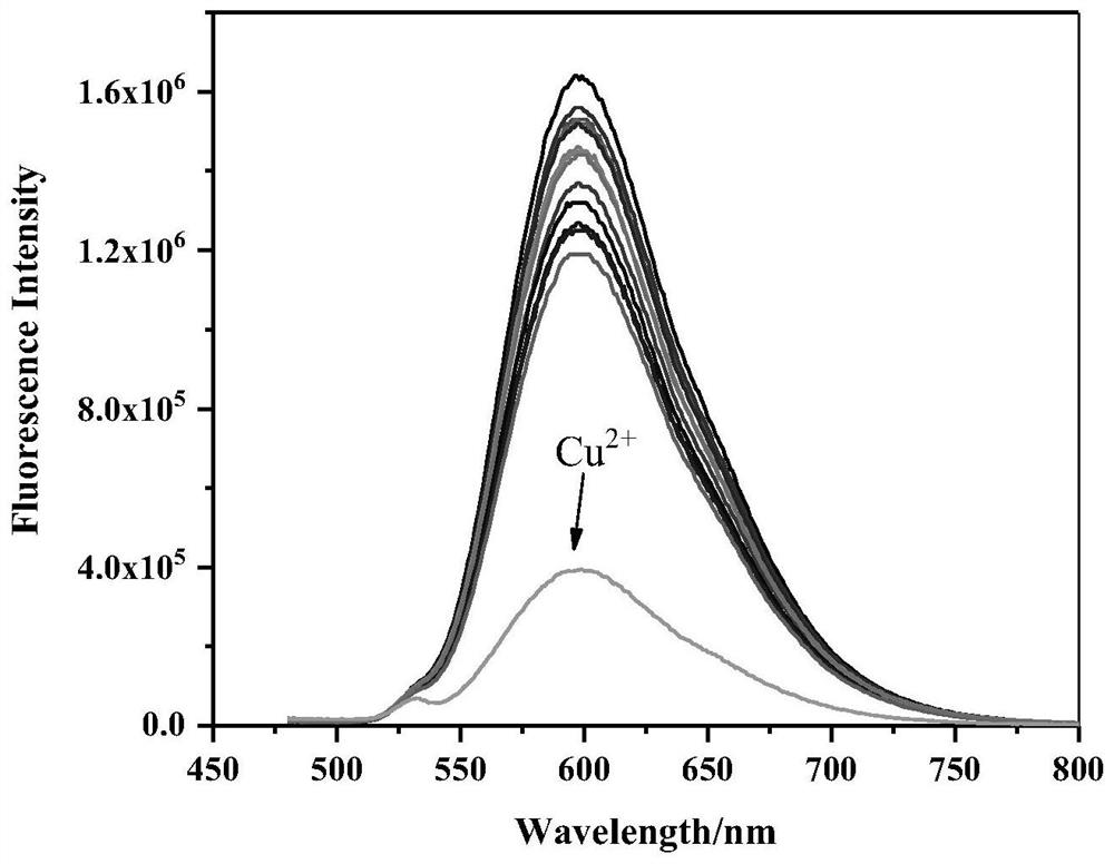 Novel ligand for copper ion detection, preparation of novel ligand, novel ruthenium complex and near-infrared long-life fluorescent probe