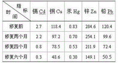 Biochemical remediation method of heavy metal contaminated soil