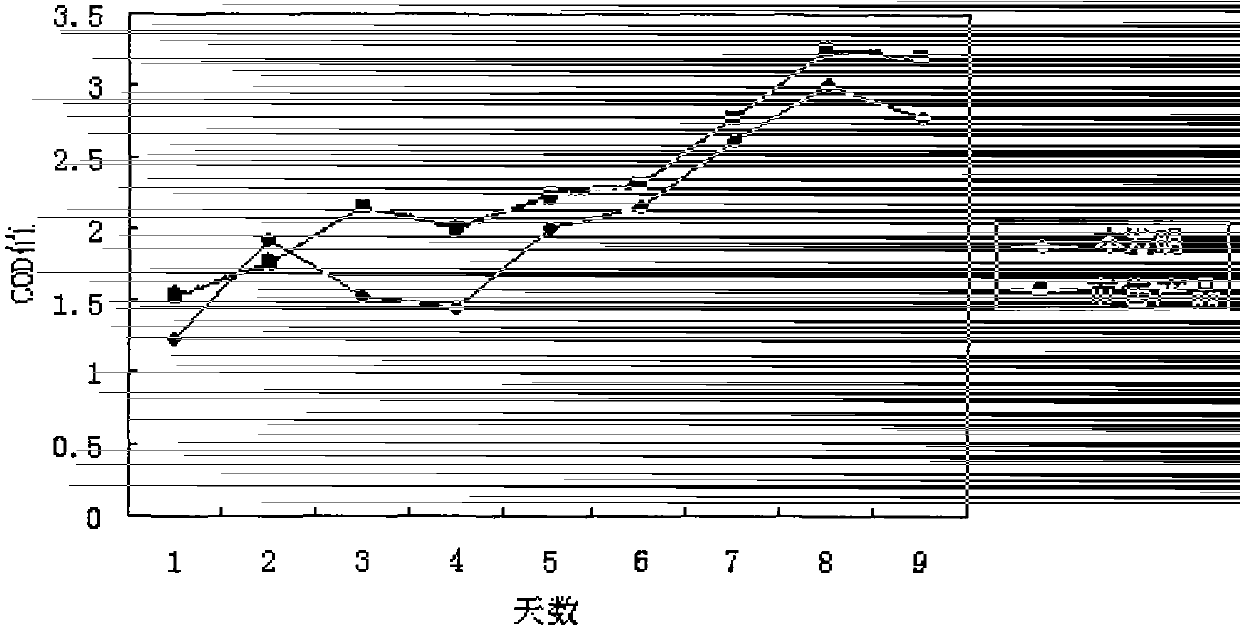 Microbial preparation for marine culture and production method of microbial preparation