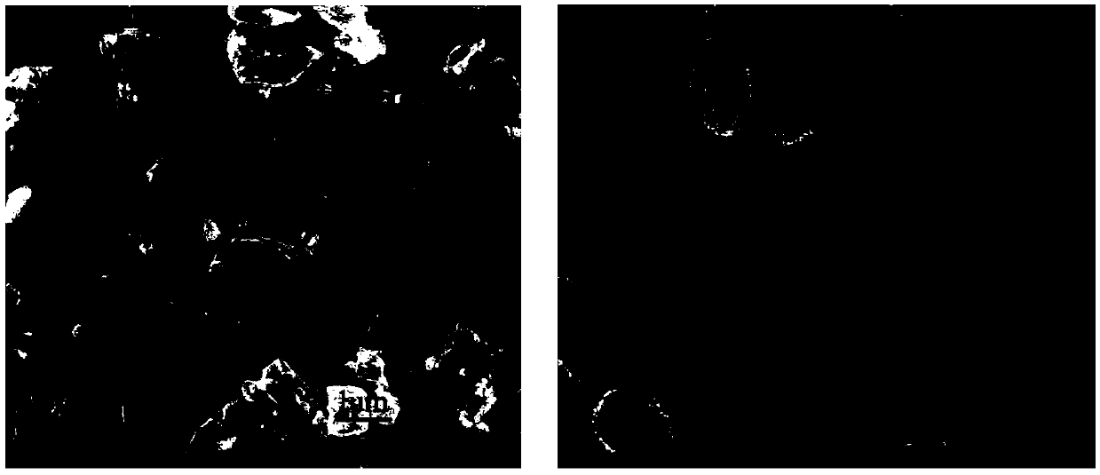 High-performance doped lithium manganate positive electrode material and preparation method thereof