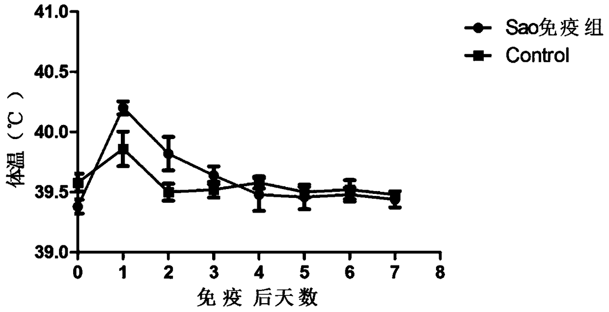 A kind of streptococcus suis truncated protein sao and its application