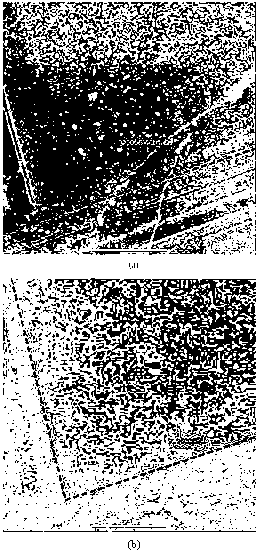 Method and device for eliminating nanoparticles on surfaces of substrates under assistance of laser