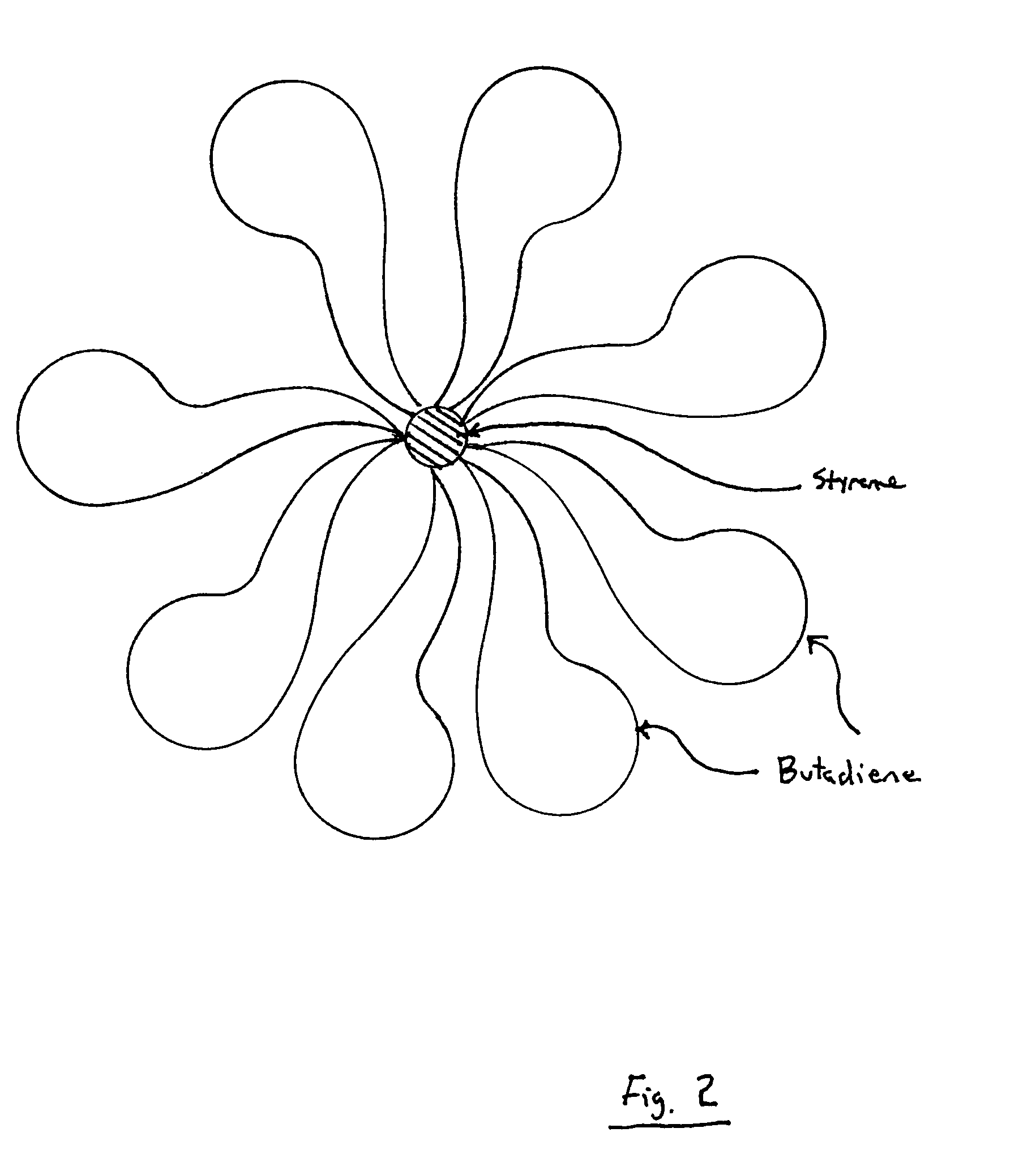 Polymeric nano-particles of flower-like structure and applications