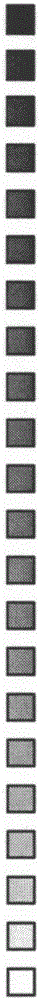 Gravure printing image quality control method