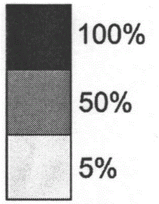 Gravure printing image quality control method