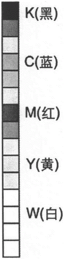 Gravure printing image quality control method