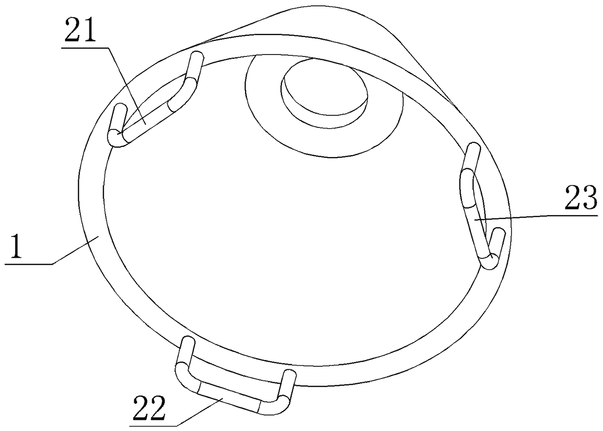 Locking device for lifting insulator