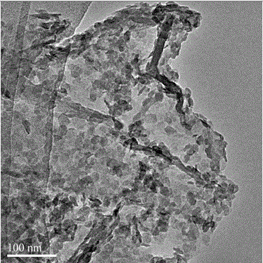 Titanium dioxide/graphene composite nanometer photocatalyst, method for preparing same and application of titanium dioxide/graphene composite nanometer photocatalyst