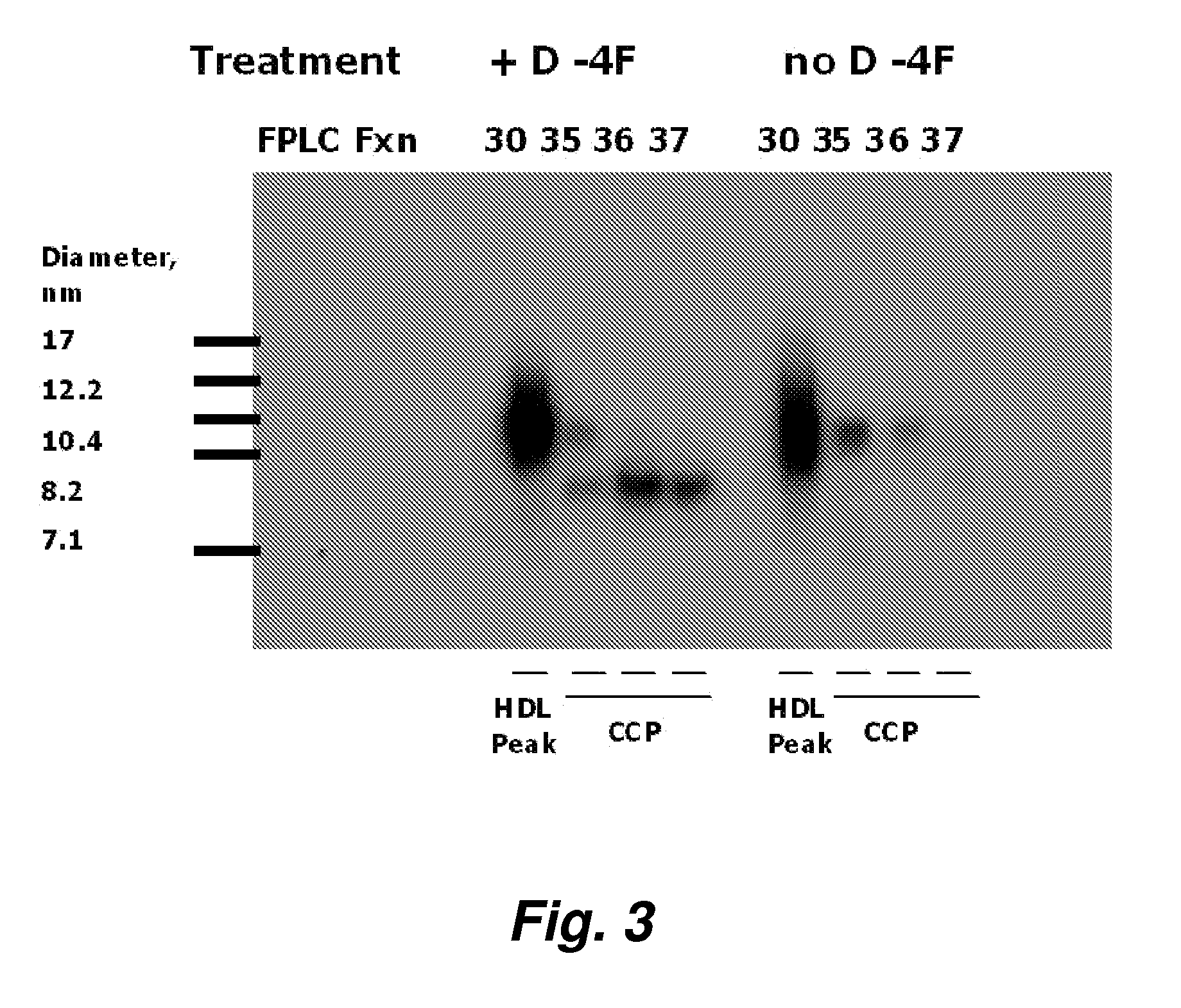 Orally administered peptides synergize statin activity