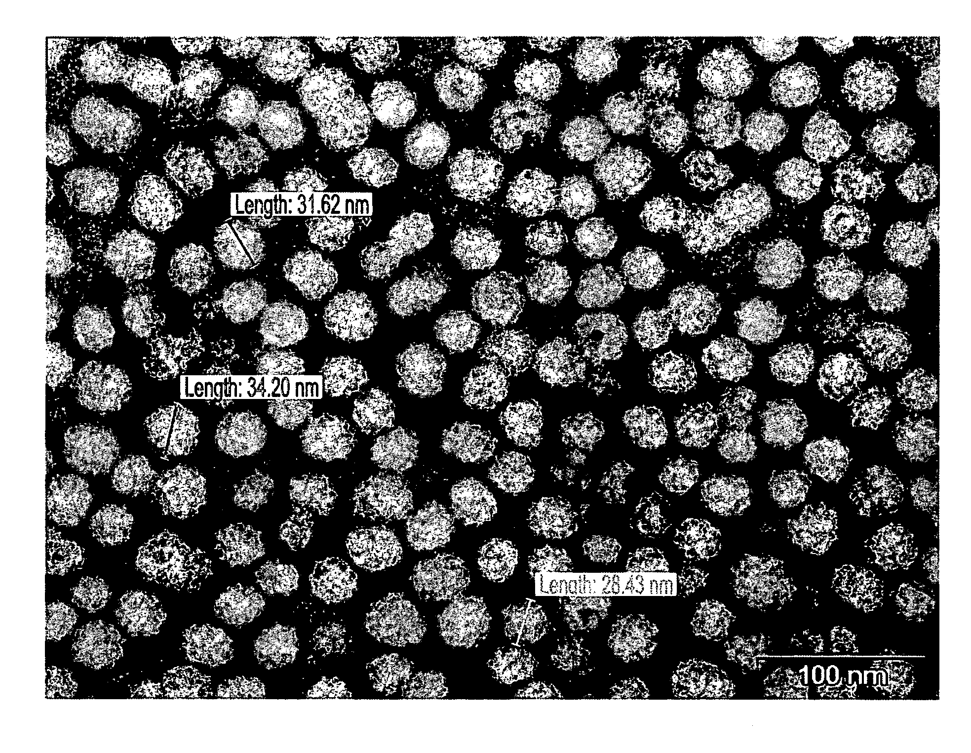 Cell-targeting nanoparticles comprising polynucleotide agents and uses thereof