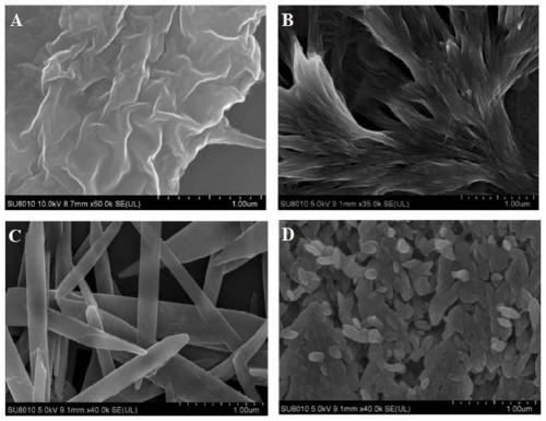 Brasenia schreberi in vitro gum polysaccharide fractional purification method capable of improving blood glucose lowering activity