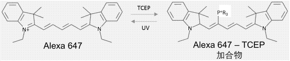 Two-color fluorescence localization super-resolution biological microscopy method and system