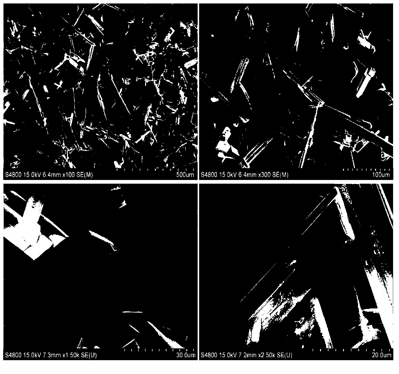 Crystallization method of cyclic adenosine monophosphate