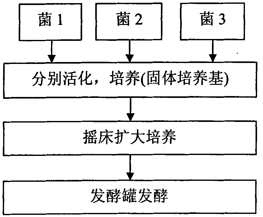 Granular type compound microbial bacterial agent as well as preparation method and application thereof