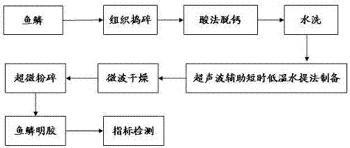 Preparation method of fish scale gelatin of bighead carp