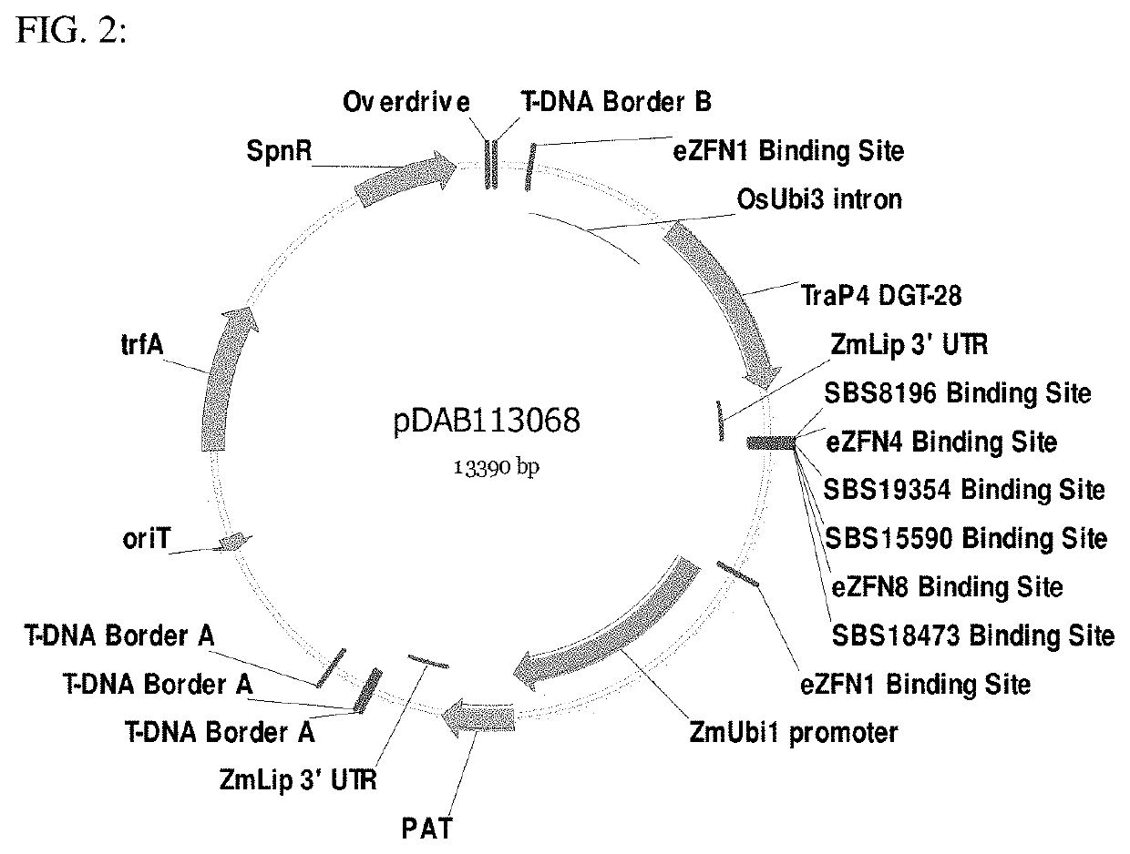 Methodologies and compositions for creating targeted recombination and breaking linkage between traits