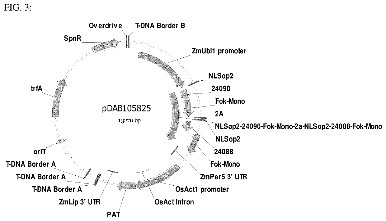 Methodologies and compositions for creating targeted recombination and breaking linkage between traits