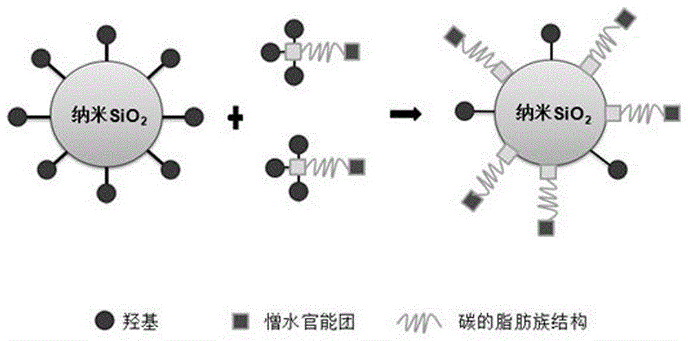 Nano core-shell structure organic-inorganic compound concrete protective agent and preparation method and application thereof