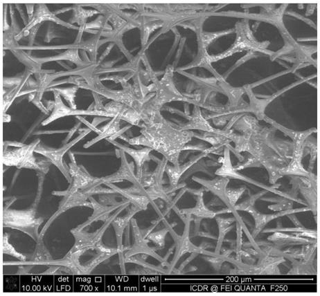 A kind of preparation method of cuprous oxide/melamine sponge used for oil spill recovery