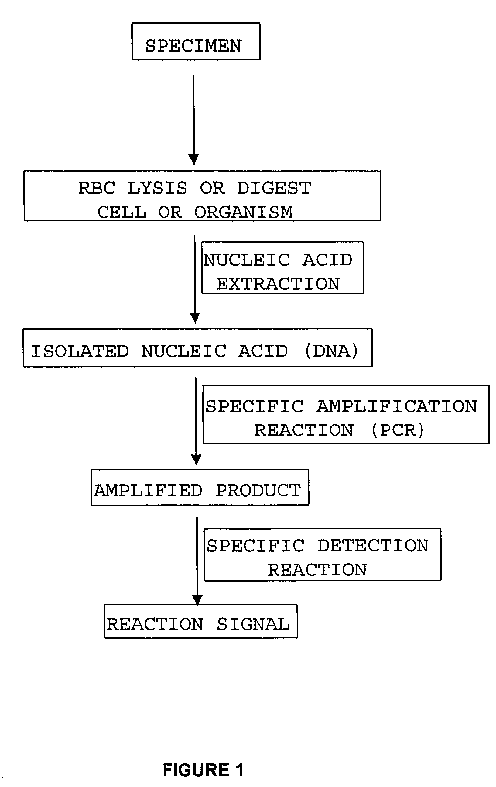 Compositions and methods relating to nucleic acid reference standards