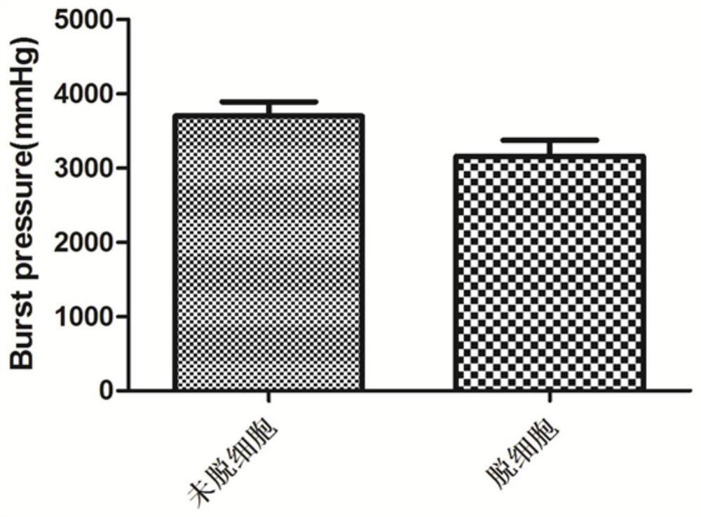 A kit and method for durable patency of artificial blood vessels