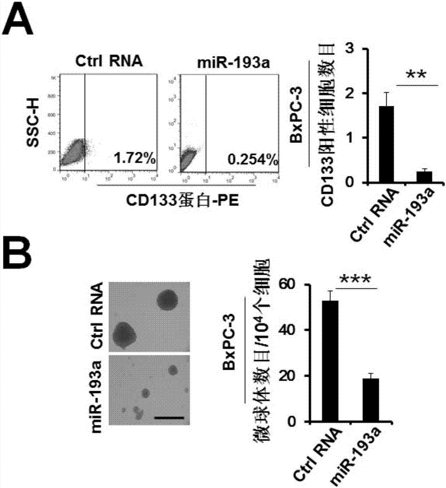 Application of miR-193a-3p