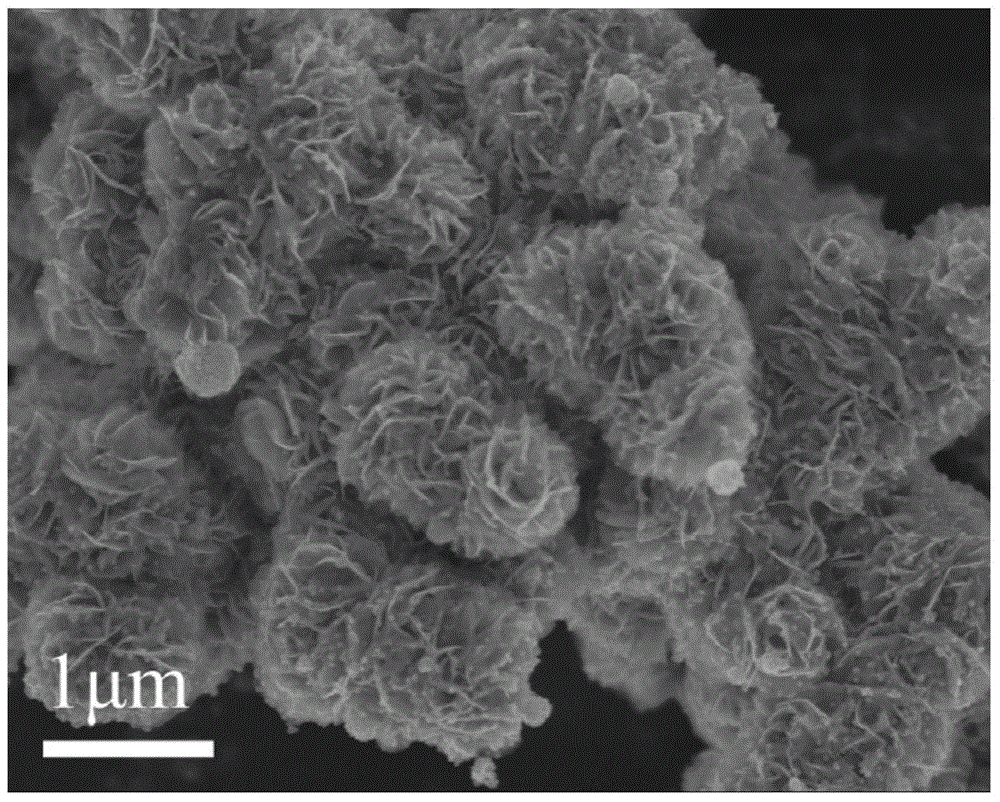 TiO2-quantum-dot-and-MoS2-nanometer-flower-combined heterojunction semiconductor material and preparation method thereof