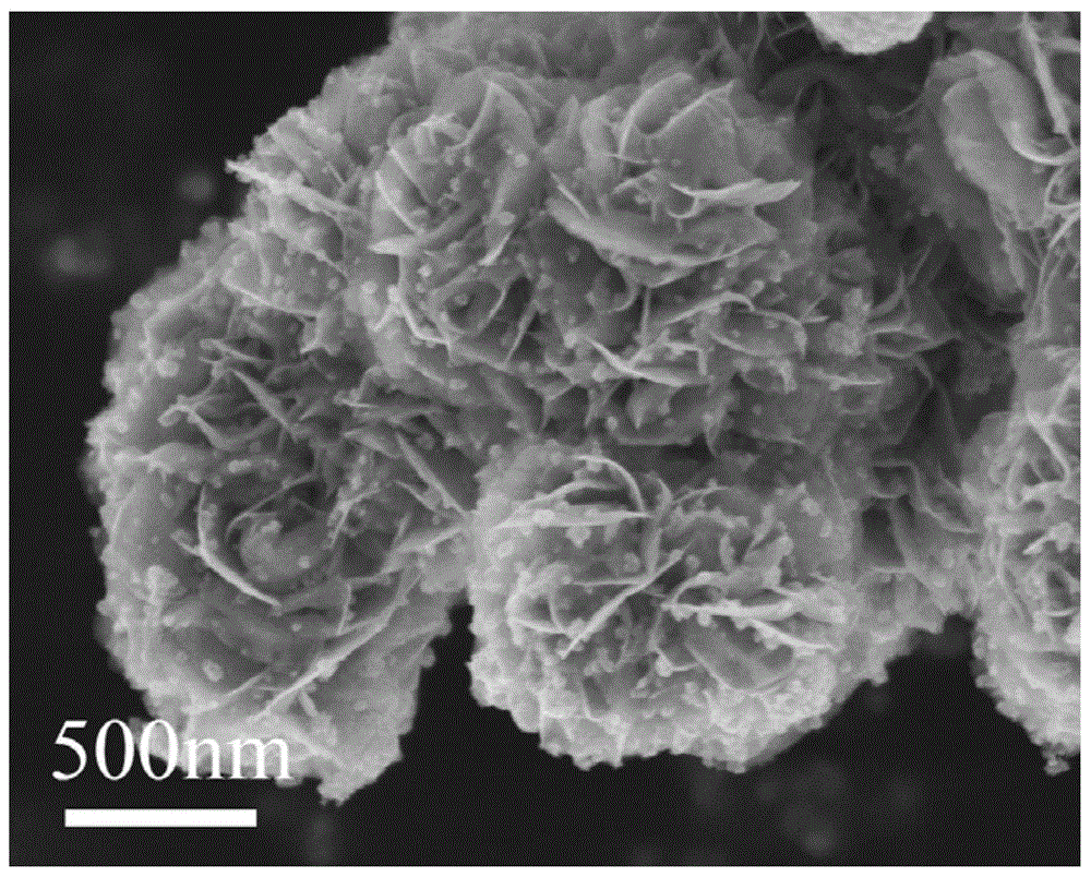 TiO2-quantum-dot-and-MoS2-nanometer-flower-combined heterojunction semiconductor material and preparation method thereof