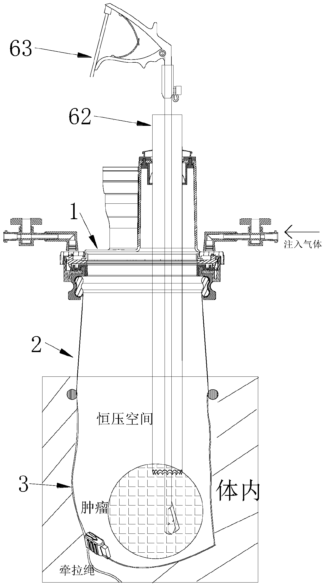 Protector provided with specimen extractor