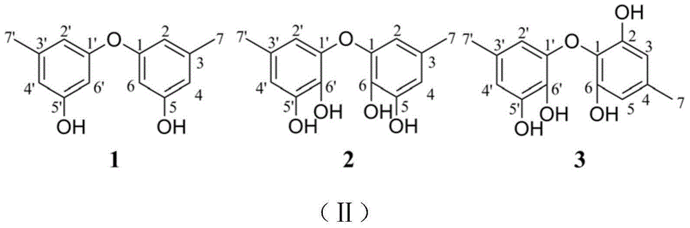 Use of diphenyl ether compounds in the preparation of beta-amyloid aggregation inhibitors