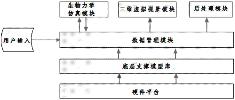 Three dimensional virtual simulation system and simulation method for shipboard aircraft pilot training injury assessment