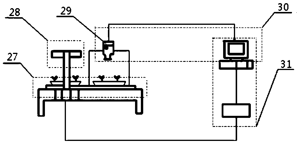 Conveying and positioning device and method used for automatic potted tray seedling transplanter