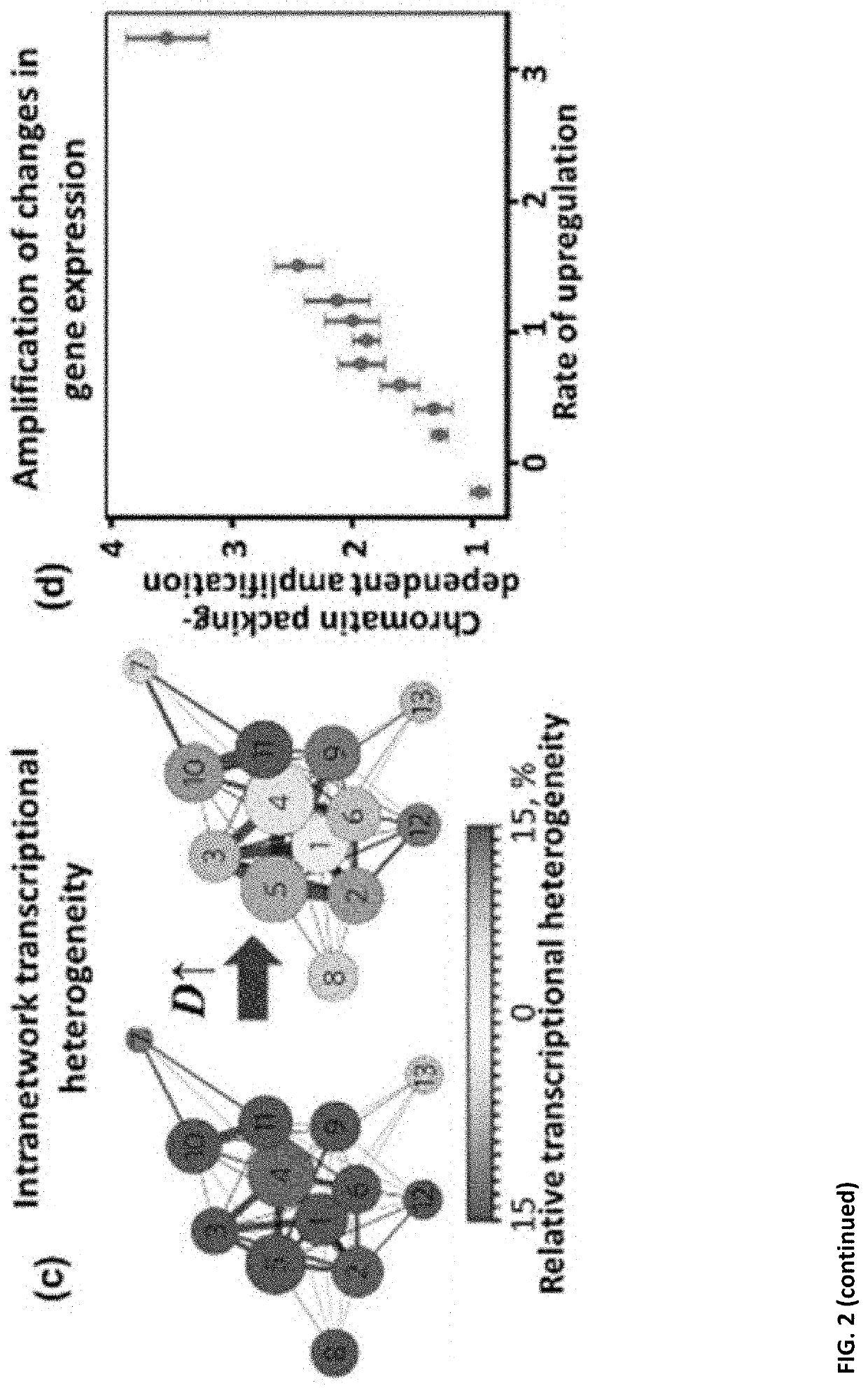 Myokines for treating cell proliferative and metabolic diseases and disorders