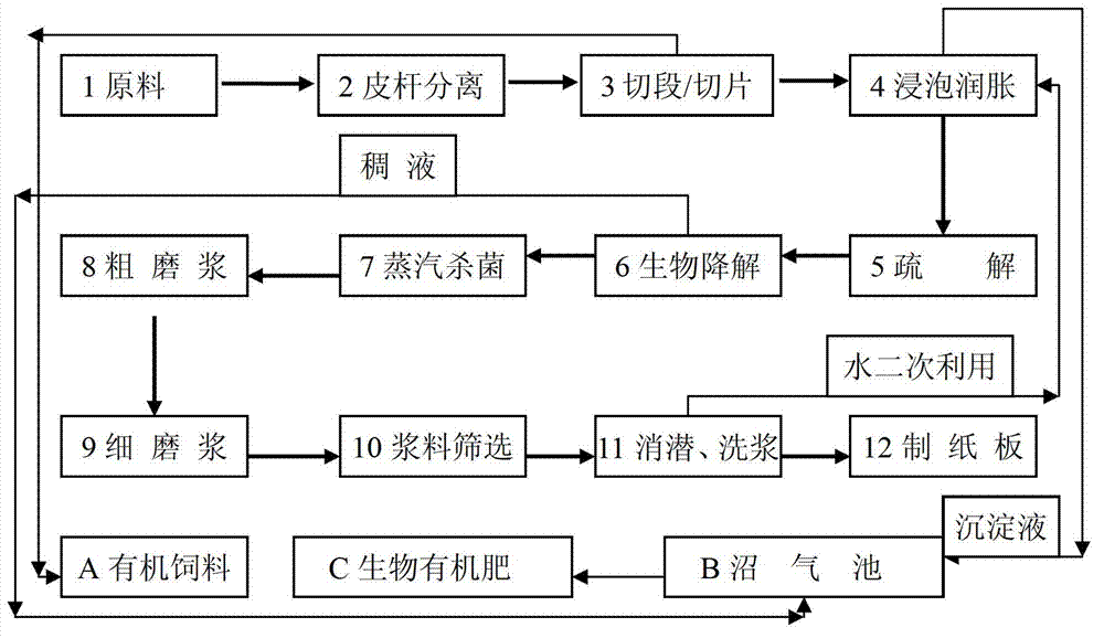 Compound bacterium used for pulping biological bacterium fluid and application of compound bacterium